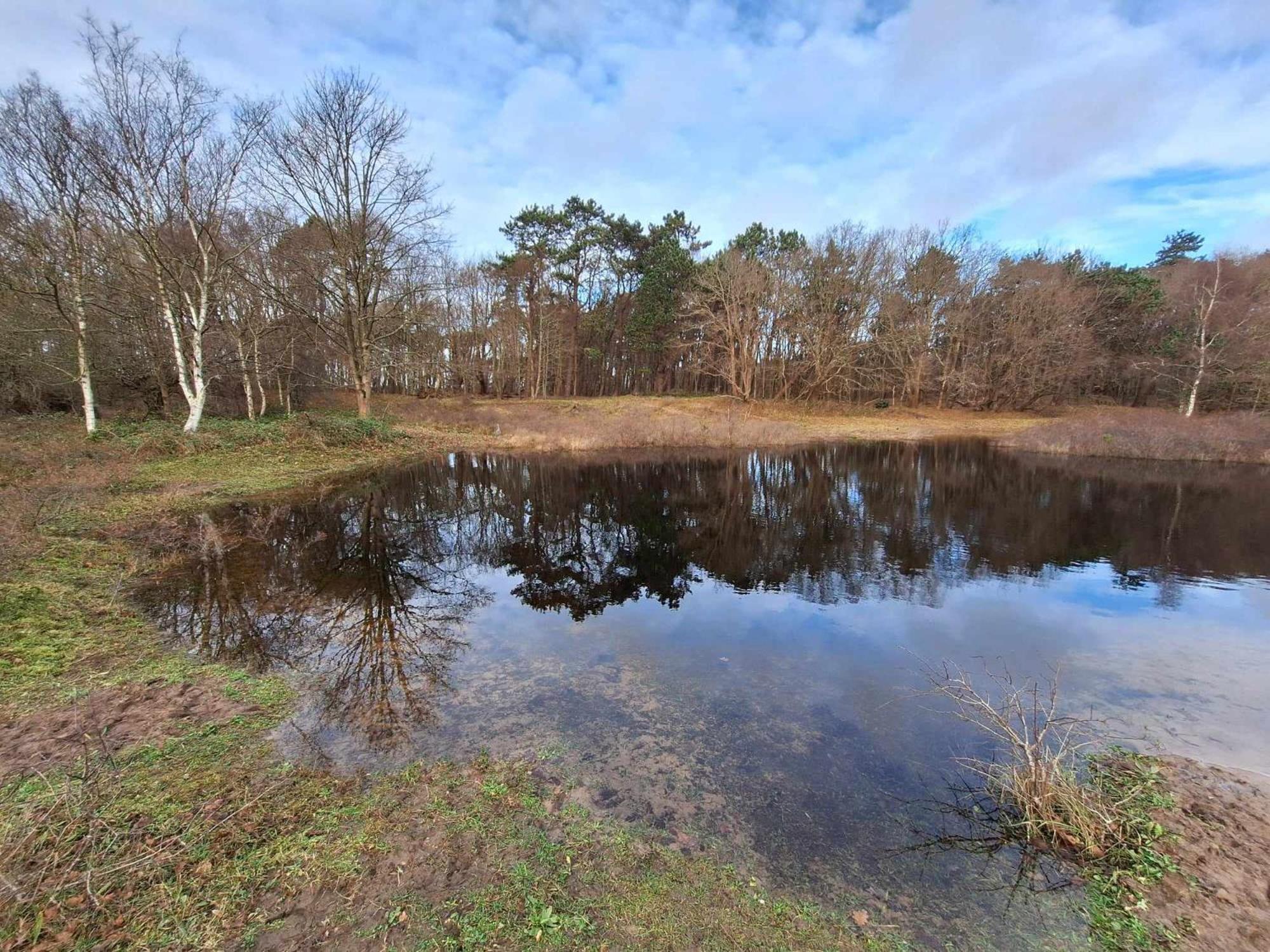 Villa Bijzonder Bakkum Castricum Exterior foto